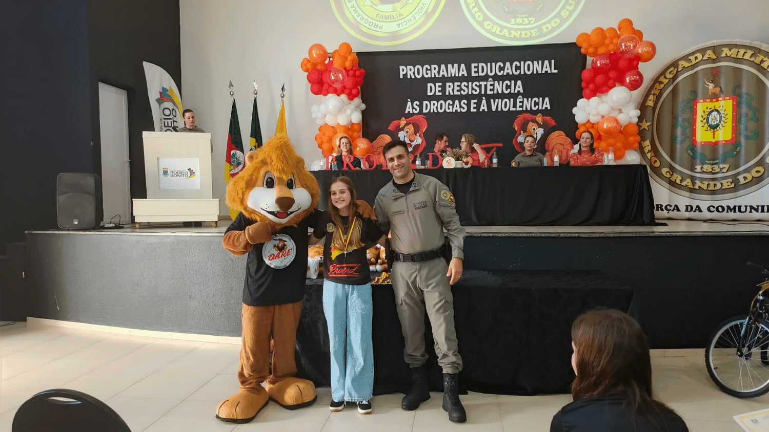 Imagem 8