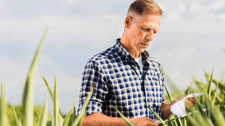 Impasse nas negociações mantém sem solução a questão das dívidas do setor rural