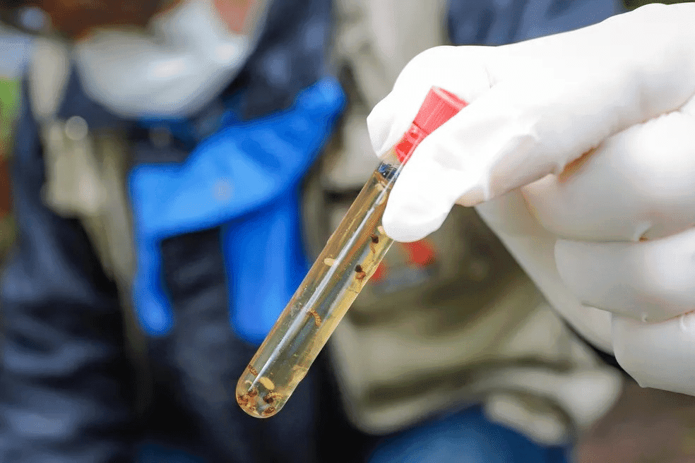 RS confirma primeira morte por dengue no ano