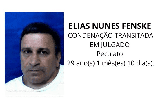 Imagem 8