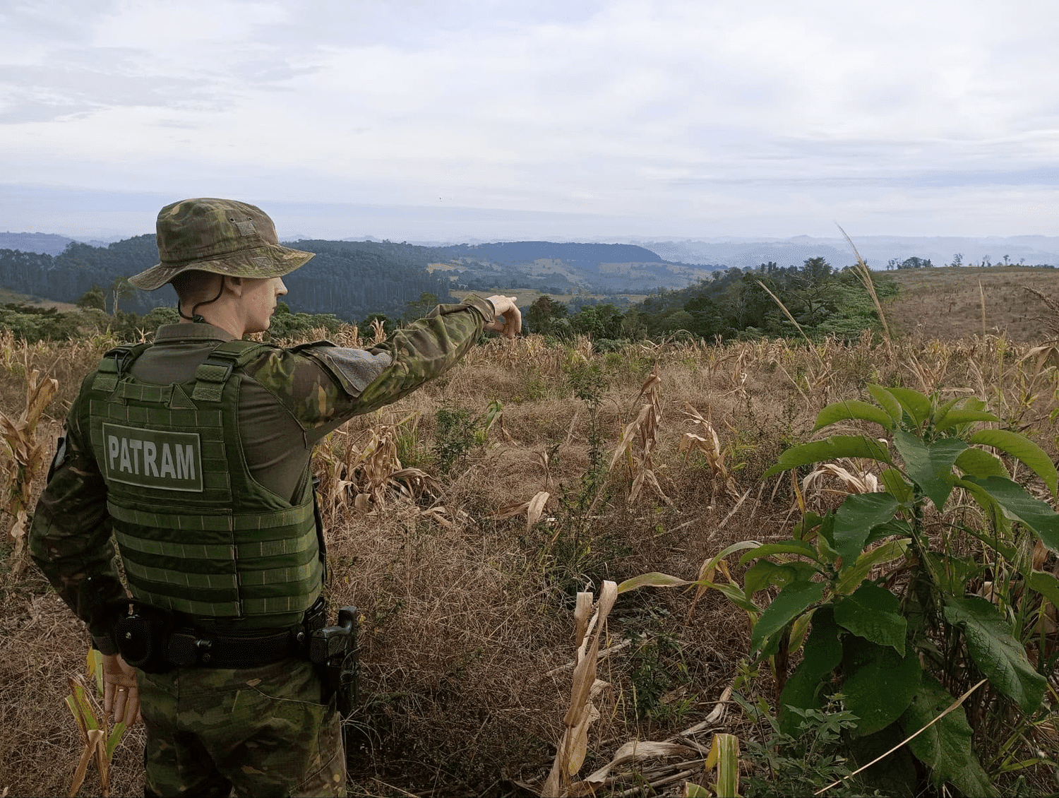 Batalhão Ambiental constata desmatamento de quase 13 hectares em Alpestre