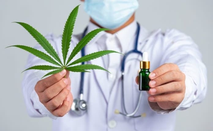 Anvisa aprova regulamentação para cultivo de cannabis com fins medicinais no Brasil