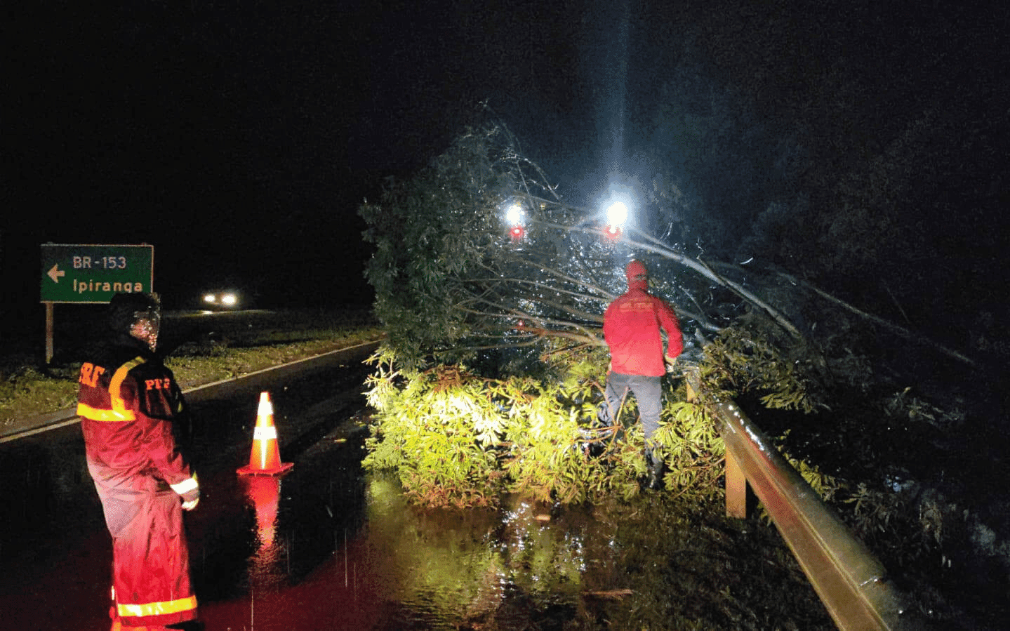 PRF libera mais de 30 pontos de interdições por queda de árvores durante temporal desta quinta-feira