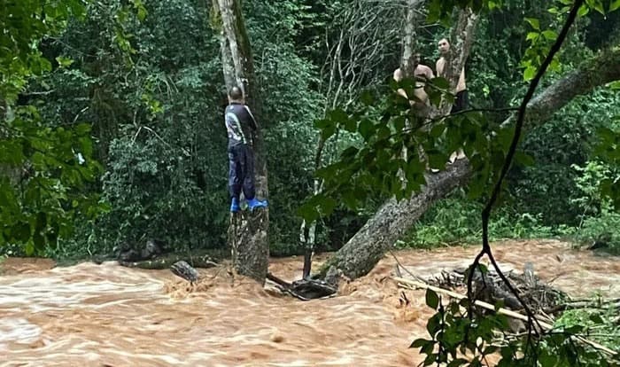 Pescadores ficam ilhados em cima de árvore após rio transbordar em Seberi